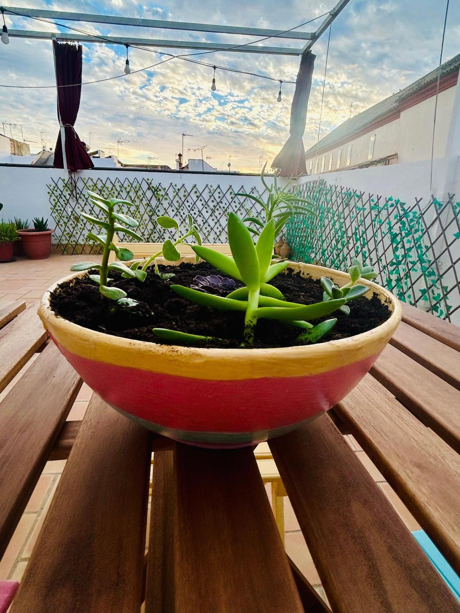 塞维利亚La Azotea Del Sol公寓 外观 照片