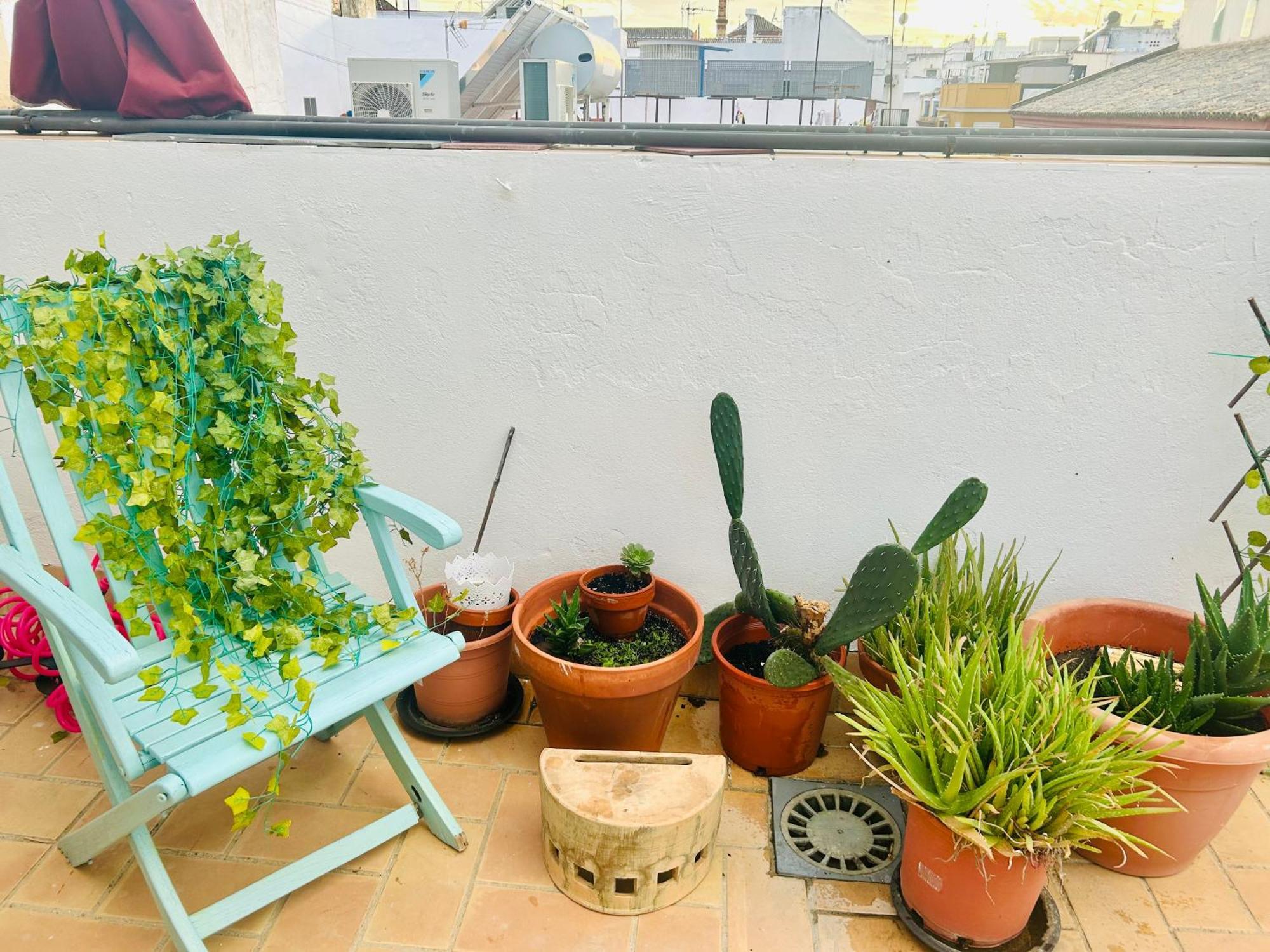 塞维利亚La Azotea Del Sol公寓 外观 照片